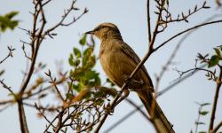 Featured image of post 如何查看库是32位还是64位?