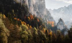 Featured image of post 智能呼叫系统方案一(mrcp使用)