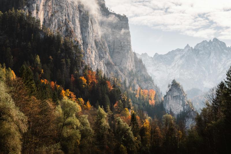 Featured image of post 智能呼叫系统方案一(mrcp使用)