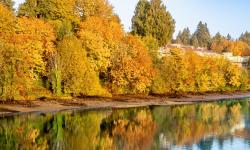 Featured image of post 智能呼叫系统方案二(freeswitch媒体旁路)