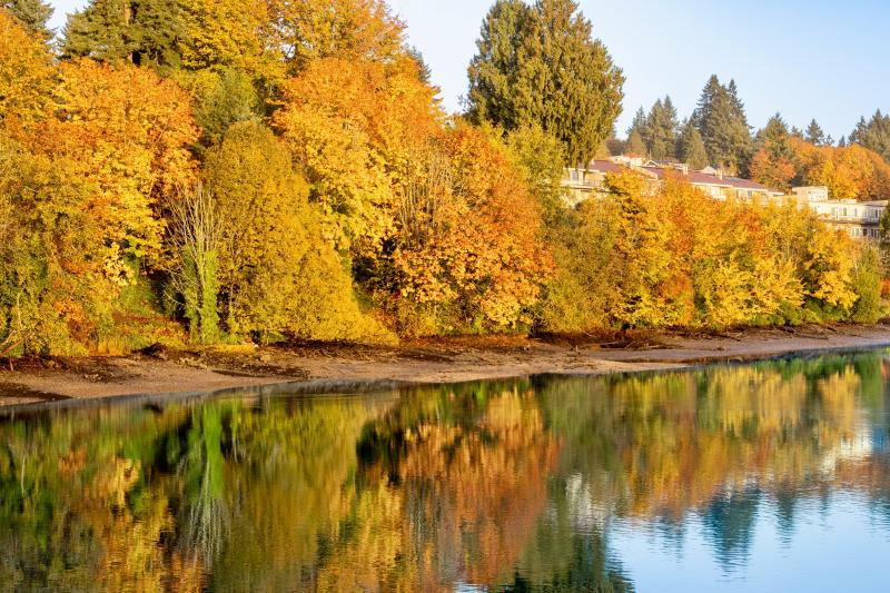 Featured image of post 智能呼叫系统方案二(freeswitch媒体旁路)