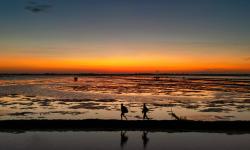 Featured image of post 智能呼叫系统-转人工