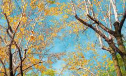 Featured image of post 炒股笔记