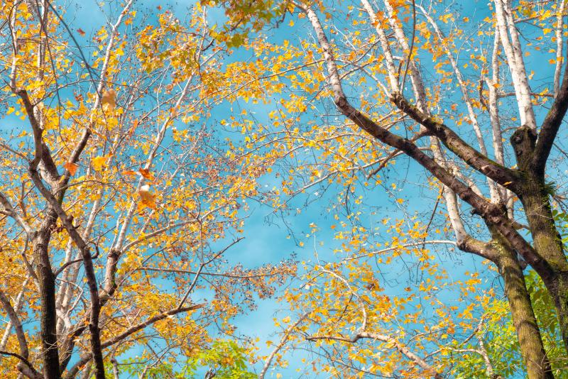 Featured image of post 炒股笔记