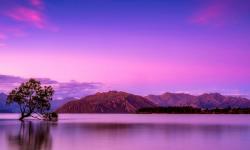 Featured image of post 看牙随笔