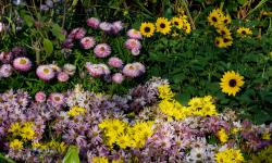 Featured image of post 2025总结