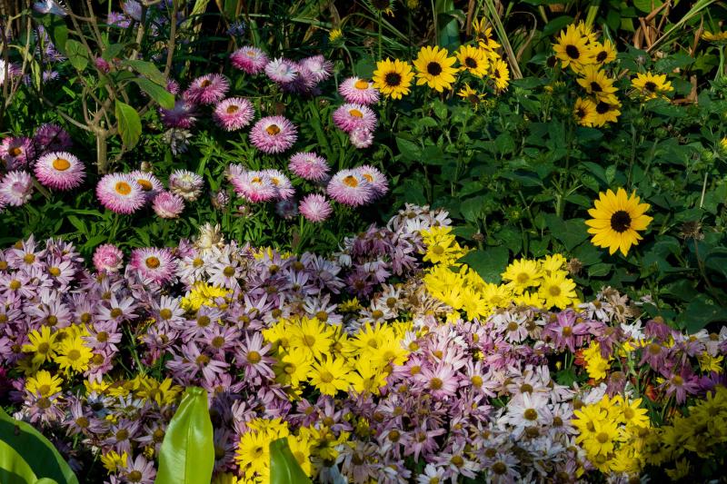 Featured image of post 2025总结