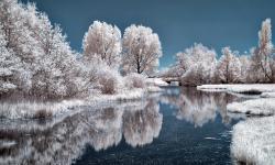 Featured image of post opensips的topology_hiding巧用