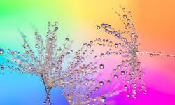 Featured image of post opensips call_center模块
