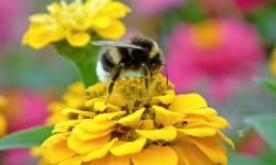 Featured image of post unimrcp音频降噪方案