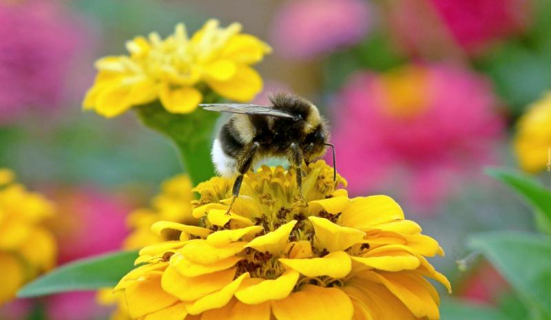 Featured image of post unimrcp音频降噪方案